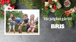 Årets julgåva